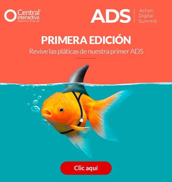 ADS - Primera Edición